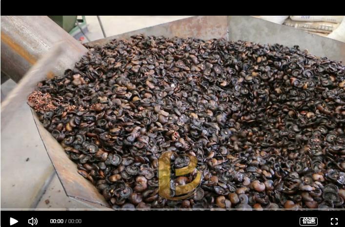 环保看片网站观看炭化处理腰果外壳增加经济效益