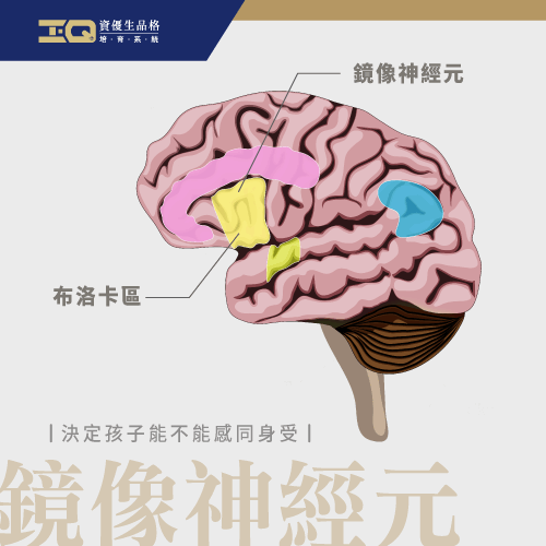 鏡像神經元-孩子沒有同理心怎麼辦