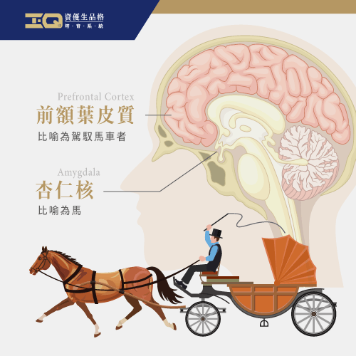 如何培養孩子的社會能力-社會能力及人際關係